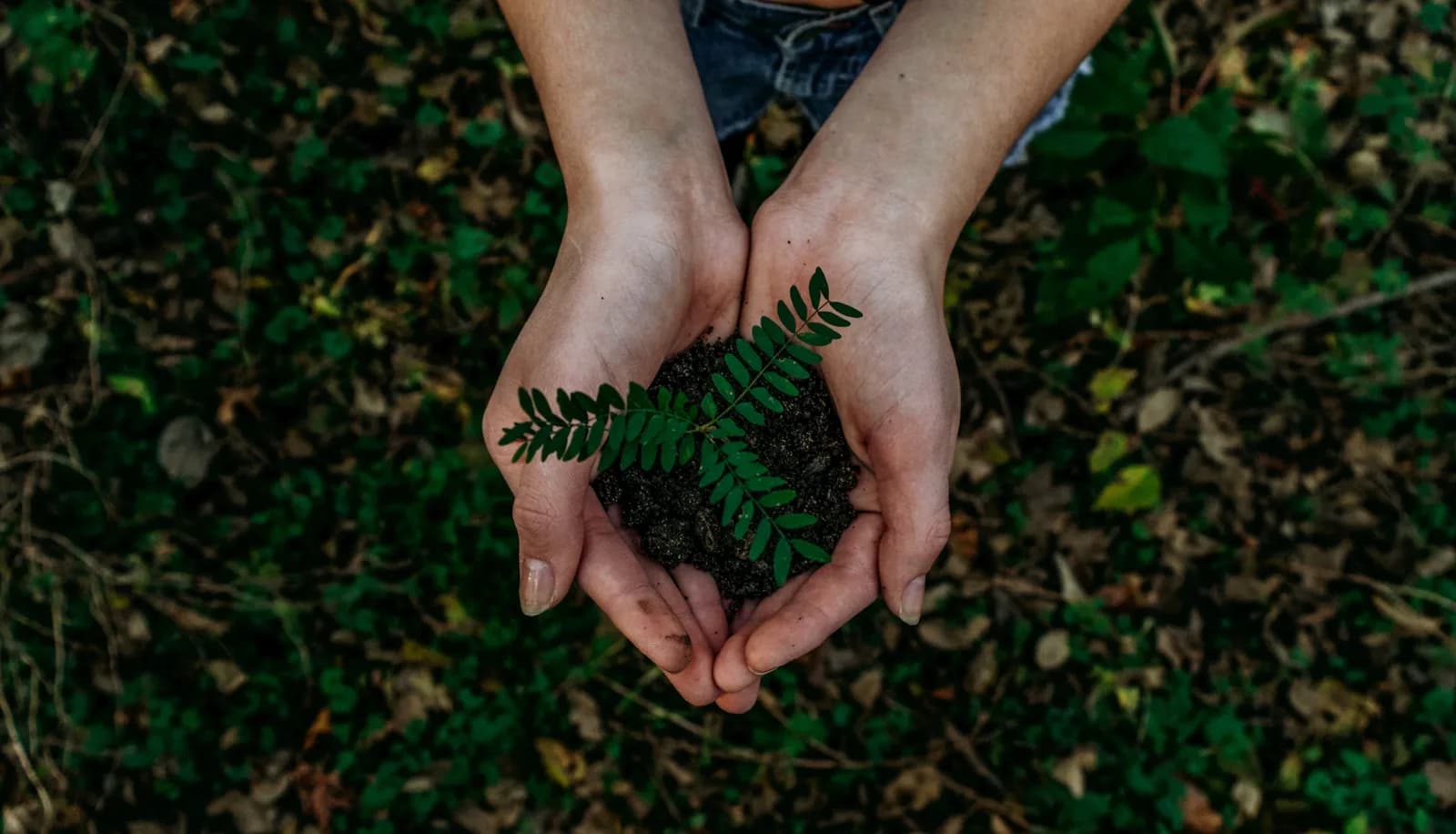 Embracing Sustainability: Eco-Friendly Practices for Small Businesses